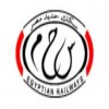 الدليل العربي-سكك حديد مصر-مصر