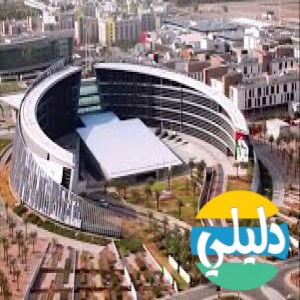 الدليل العربي-مواقع علمية-تعليمية-United Arab Emirates University
