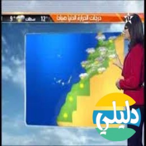 الدليل العربي-مواقع اخرى-غير مصنفة-metomaroc