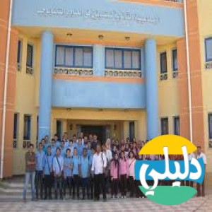 الدليل العربي-مواقع علمية-مدارس وتدريس-stem school