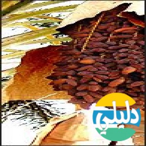 الدليل العربي-مواقع مجتمعية-طبخ-اكلات شهيه