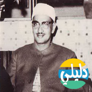 الدليل العربي-السبيل