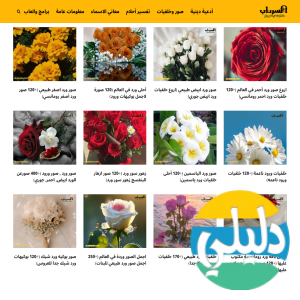 الدليل العربي-السرداب