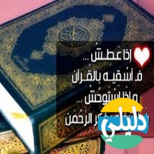 الدليل العربي-مواقع اسلامية-صوتيات إسلامية-القران الكريم