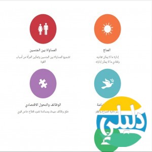 الدليل العربي-مواقع أعمال-مواقع اقتصادية-المؤسسة الدولية للتنمية