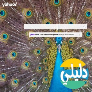 الدليل العربي-مواقع اخرى-يحث وادلة-بحث ياهو