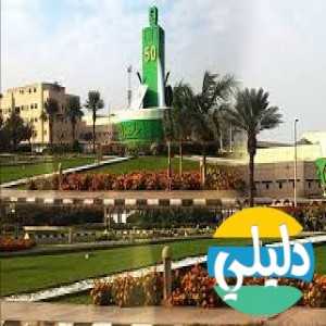 الدليل العربي-جامعه الملك عبد العزيز