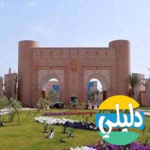 الدليل العربي-جامعه الملك فيصل
