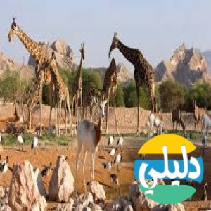 الدليل العربي-مواقع علمية-نبات وحيوان-حديقه حيوان العين