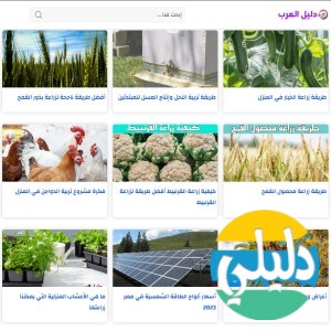 الدليل العربي-دليل العرب