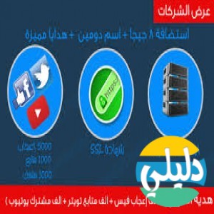 الدليل العربي-مواقع تقنية-استضافة مواقع-شركه صوت مصر