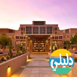 الدليل العربي-مايو كلينك