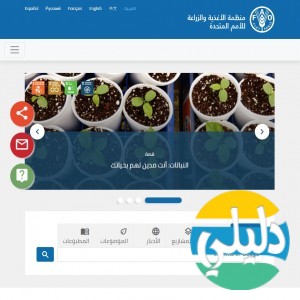 الدليل العربي-مواقع أعمال-اخرى اعمال-منظمة الاغذية والزراعة