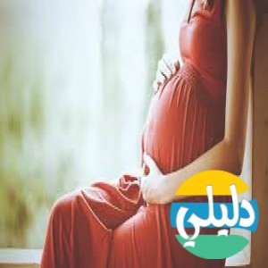 الدليل العربي-مواقع مجتمعية-اخرى مجتمعية-موقع حوامل