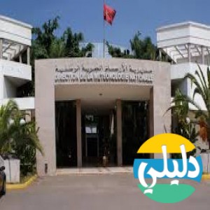 الدليل العربي-مواقع اخرى-غير مصنفة-metomaroc