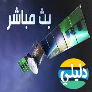 الدليل العربي-ار تي الاخبارية