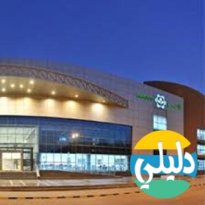 الدليل العربي-مواقع إخبارية-مجلات-اراسكو فييد