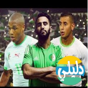 الدليل العربي-الخضره