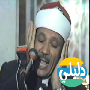 الدليل العربي-السبيل