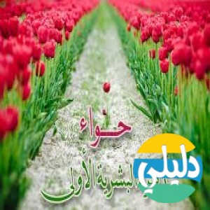 الدليل العربي-مواقع مجتمعية-اخرى مجتمعية-انا حوا