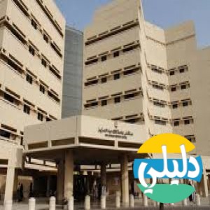 الدليل العربي-جامعه الملك عبد العزيز