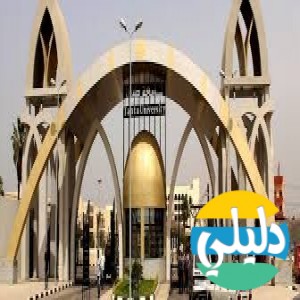 الدليل العربي-جامعه طنطا