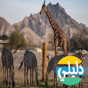 الدليل العربي-مواقع علمية-نبات وحيوان-حديقه حيوان العين