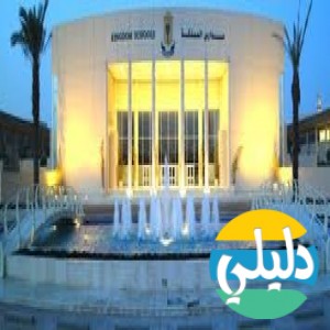 الدليل العربي-مواقع علمية-مدارس وتدريس-مدارس المملكه