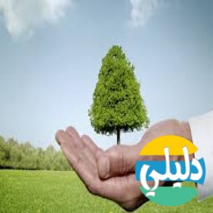 الدليل العربي-مواقع علمية-بيئية-وزاره البيئه المصريه