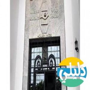 الدليل العربي-وزاره الصحه المغربيه .