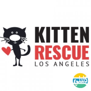 الدليل العربي-kitten rescue
