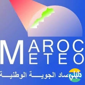 الدليل العربي-metomaroc