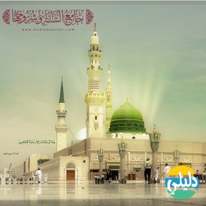 الدليل العربي-جامع السنه وشروحها