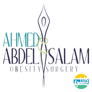 الدليل العربي-د.احمد عبد السلام