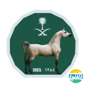الدليل العربي-سكب نادي سباقات الخيل