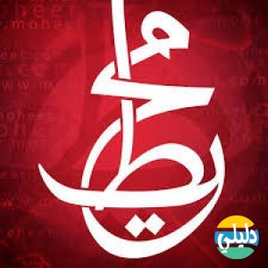 الدليل العربي-شبكه الاعلام العربيه