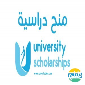الدليل العربي-منح دراسية