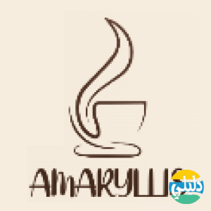 الدليل العربي-متجر امارليس